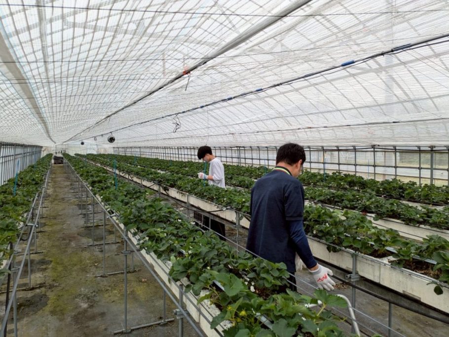 5月公開例会 事業報告